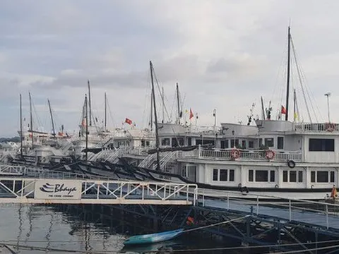 Số liệu khách du lịch Quảng Ninh được thống kê theo kiểu bốc thuốc?