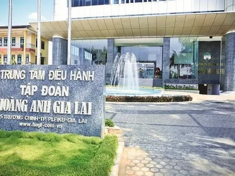 Bầu Đức: Năm 2023 thu nợ 500 tỷ từ HAGL Agrico, trả nợ 1.000 tỷ nợ cho ngân hàng