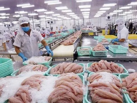 Một loại thủy sản Việt Nam được Mỹ công nhận trình độ sản xuất tương đương nền kinh tế lớn nhất thế giới