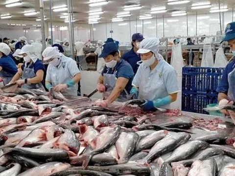 ‘Ngấm đòn’ lạm phát, doanh nghiệp xuất khẩu thủy sản tuột dốc mạnh