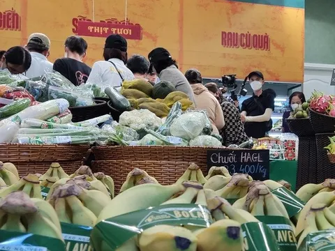 Vì sao Bầu Đức không kỳ vọng vào heo mà theo mảng chuối?