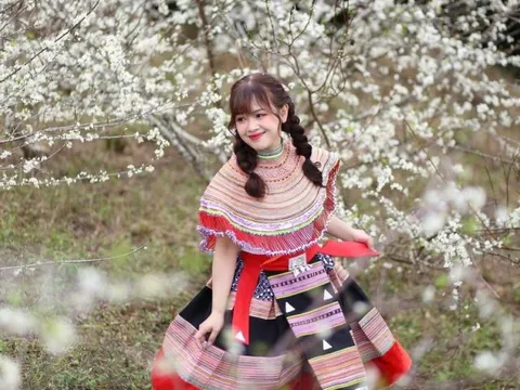 Lạc bước "thiên đường trắng" Chu Lìn mùa hoa mận nở