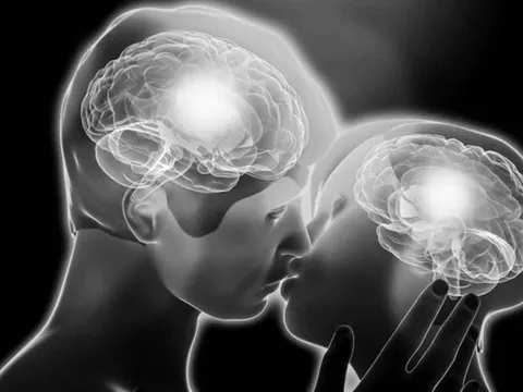 Tình yêu ảnh hưởng thế nào đến bộ não?