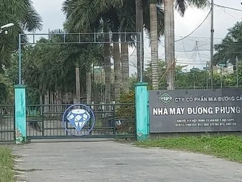 Nhà máy đường tại Hậu Giang đứng trước nguy cơ phải đóng cửa