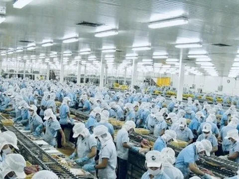Quý kinh doanh kém sắc của các doanh nghiệp thủy sản