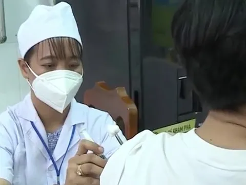 Gia tăng người dân tiêm phòng ngừa bệnh dại