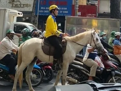 Bị xử phạt vì cưỡi ngựa vào phần đường dành cho xe cơ giới