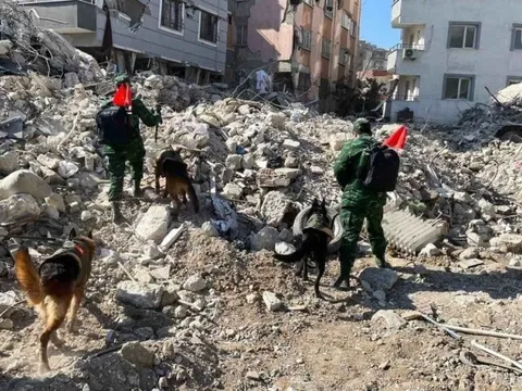 Việt Nam hỗ trợ khẩn cấp Thổ Nhĩ Kỳ và Syria mỗi nước 100.000 USD