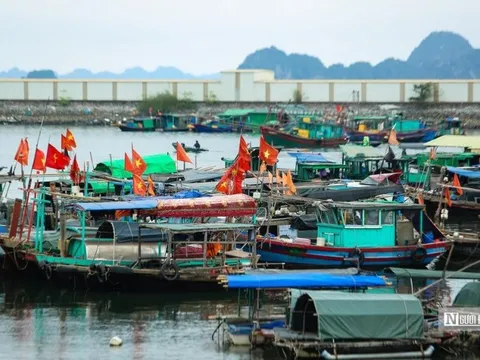 Xử lý toàn bộ tàu cá không duy trì kết nối thiết bị giám sát