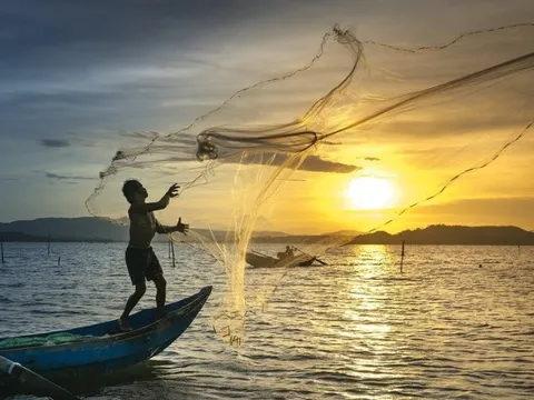 Đi lùi 3 tháng liên tiếp, doanh thu xuất khẩu của Vĩnh Hoàn (VHC) xuống gần thấp nhất 2 năm, riêng thị trường Trung Quốc tăng 22%