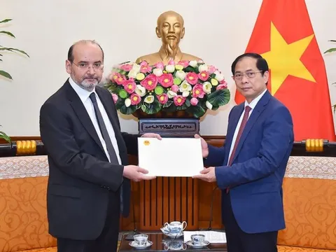 Việt Nam sẵn sàng tham gia tái thiết các vùng bị ảnh hưởng bởi động đất