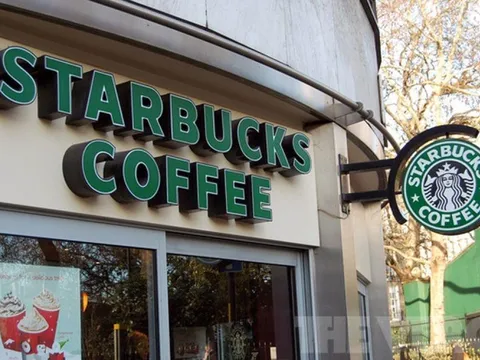 Giải "nỗi oan" 10 năm của Starbucks tại thị trường Việt Nam: Sử dụng nguyên liệu đắt gấp đôi nhưng vẫn bị "chê" nhạt nhẽo