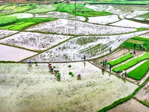 EVN hoàn thành cấp nước vụ Đông Xuân 2023