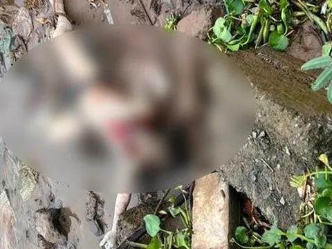 Vĩnh Long: Một tuần phát hiện 2 thi thể trôi sông
