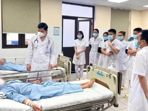 Cả nhà ăn nấm rừng cực độc, 1 người tử vong, 5 người đi cấp cứu