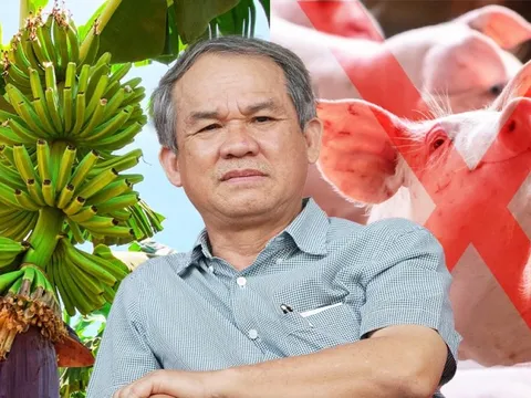 Từng tuyên bố xuất chuối số 2 thì không ai số 1, HAGL của bầu Đức đóng góp ra sao vào ngôi á quân xuất khẩu chuối sang Trung Quốc của Việt Nam?