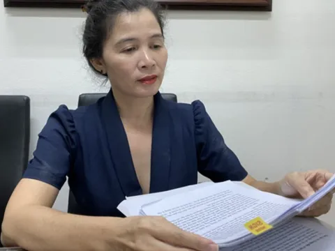 Khởi tố, bắt tạm giam, khám xét nhà bà Đặng Thị Hàn Ni