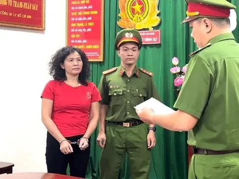 Lý do bà Đặng Thị Hàn Ni và ông Trần Văn Sỹ bị khởi tố?