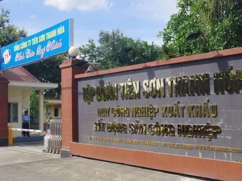 Doanh thu thương mại giúp lợi nhuận Công ty Tiên Sơn tăng mạnh