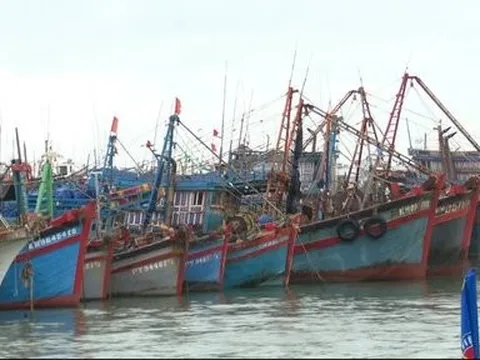 Nỗi lo thiếu hụt nguồn lao động nghề biển ở tỉnh Khánh Hòa