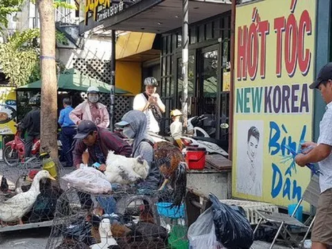 Nguy cơ cúm A từ Campuchia xâm nhập các tỉnh phía Nam