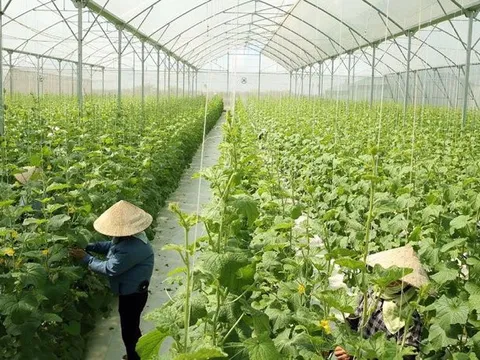 Bắc Giang: Hiệu quả từ đổi mới cơ chế quản lý hoạt động khoa học công nghệ