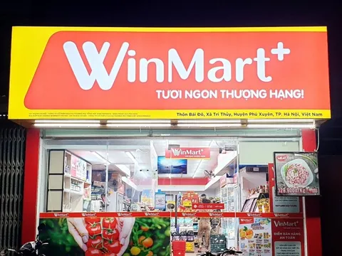 Vốn Việt Nam đầu tư ra nước ngoài tăng mạnh do tập đoàn của một tỷ phú đầu tư vào công ty công nghệ Singapore