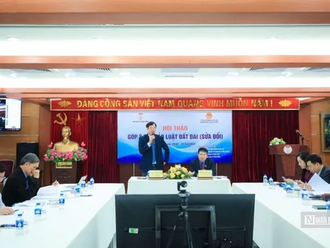 Quy định hạn mức sử dụng đất trở thành điểm nghẽn cản trở nông nghiệp