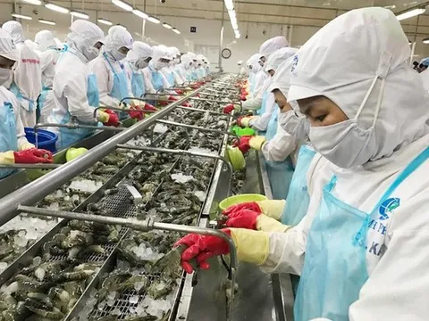 Thủ tướng yêu cầu đánh giá thông tin doanh nghiệp buộc phải bán cho nước ngoài vì ‘đói vốn’