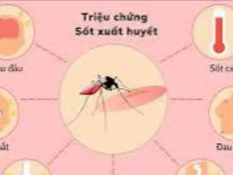 Đồng Nai: Một phụ nữ tử vong do sốt xuất huyết