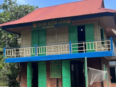 Vây bắt nhóm săn trộm, 3 kiểm lâm VQG Cát Tiên bị chém trọng thương