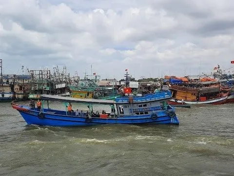 Vi phạm nhiều lỗi, 15 thuyền trưởng tàu cá bị phạt hơn 700 triệu đồng