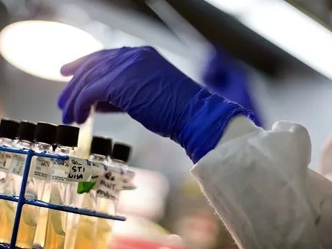 Đại dịch thầm lặng