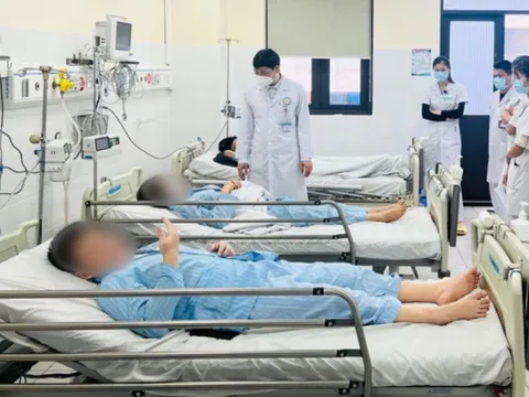 Vụ ngộ độc nấm rừng cực độc ở Hòa Bình: 4 bệnh nhân đã xuất viện