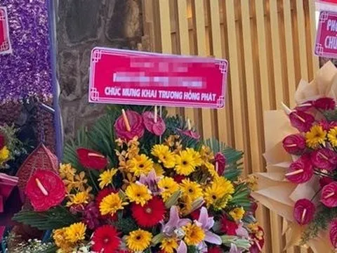 Lý do một chủ quán cà phê ở Bình Dương bị xử phạt