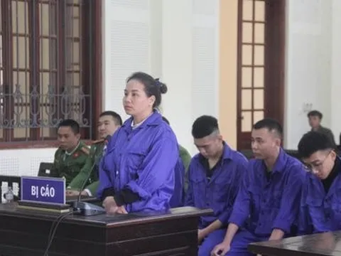 Lời khai của nhóm đối tượng chém thuê khiến một Việt kiều thương tích