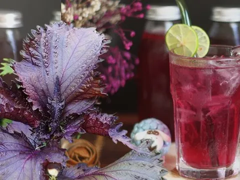 3 cách dùng lá tía tô giúp chị em đẹp từ trong ra ngoài