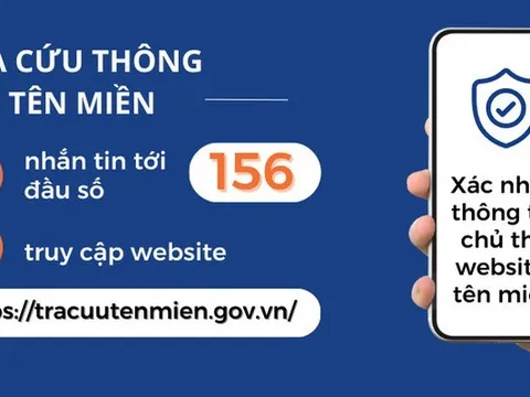 Tra cứu thông tin tên miền qua đầu số 156 giúp phòng ngừa hành vi lừa đảo