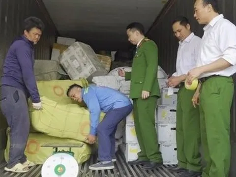 Bắt giữ xe chở gần 17 tấn thực phẩm đông lạnh không rõ nguồn gốc