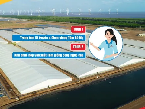 Tập đoàn thủy sản Việt Úc giới thiệu tour tham quan trực tuyến 360 độ