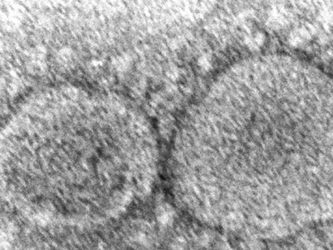 Mỹ quyết giải mật mọi thông tin tình báo về nguồn gốc COVID-19