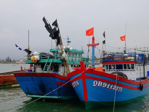 Quảng Bình triển khai kế hoạch 180 ngày chống khai thác IUU