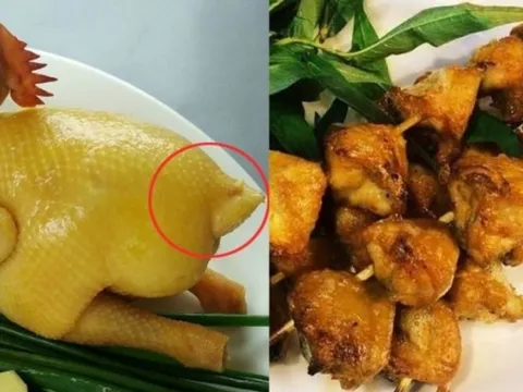 Chuyên gia chỉ ra bộ phận “khoái khẩu” trên con gà lại là “kho chứa mầm bệnh”