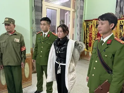 Thủ đoạn "kiều nữ" cùng đồng bọn lừa đảo chiếm đoạt hơn 40 tỷ đồng