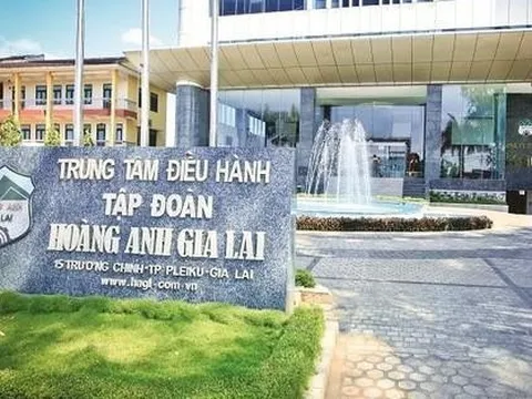 Hoàng Anh Gia Lai (HAGL) bổ sung tài sản bảo đảm nghĩa vụ tín dụng cho công ty con