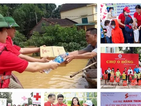 Rà soát hoàn thiện chính sách đối với hoạt động chữ thập đỏ