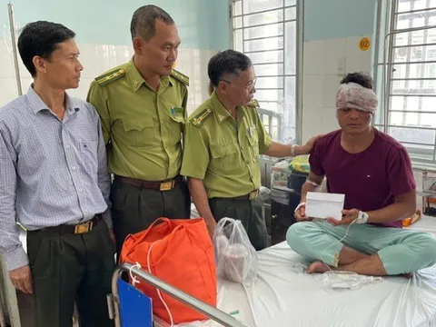 Đồng Nai: Xử lý nghiêm những kẻ tấn công kiểm lâm