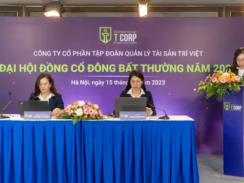Trí Việt (TVC) có Chủ tịch mới, kiện toàn ban lãnh đạo