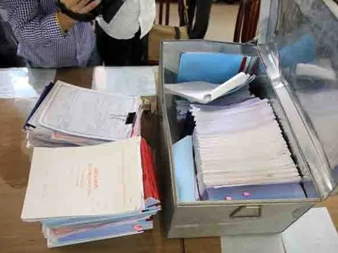 Khởi tố 4 bị can liên quan vụ án tại Công ty Công viên cây xanh Hà Nội
