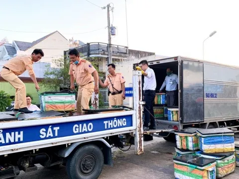 Bạc Liêu: Phát hiện gần 600kg tôm chứa tạp chất trên đường đi tiêu thụ